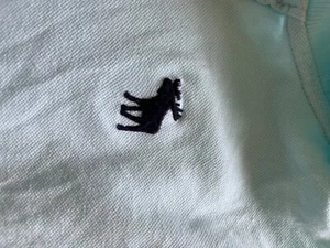 Super cute for summer Boys Abercrombie Polo Shirt Age 13-14 pale aqua blue - Picture 1 of 3
