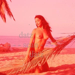 1960s Ron Vogel Transparency-sexy nude pinup girl Frances Lee-cheesecake v304350 - Picture 1 of 1