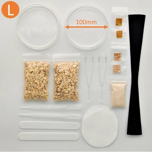 Set L: Slime mold Cultivation Set, Physarum, Badhamia, Blob, Schleimpilz, gift - Picture 1 of 7