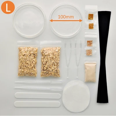 Set L: Slime mold Cultivation Set, Physarum, Badhamia, Blob, Schleimpilz, gift - Image 1 of 4