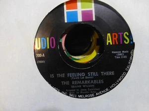 THE REMARKABLES IS THE FEELING STILL THERE & EASILY MISLEAD NM 45 - Picture 1 of 1