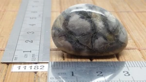 JASPE FEUILLE D'ARGENT pierre roulee TOP mineraux lithotherapie reiki collection - Picture 1 of 2