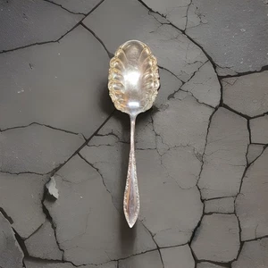 1847 Rogers Bros Savoy  solid shell casserole spoon - Picture 1 of 6
