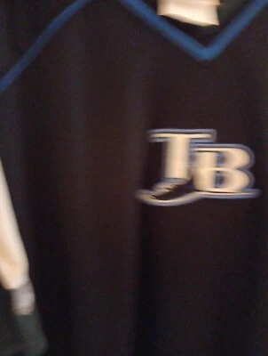 Tampa bay ray's shirt large black and green  - Image 1 of 4