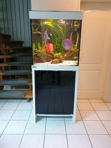 Aquarium MP Eheim Scuba Cube 270 komplett mit Unterschrank und Diskusfische - Bild 1 von 12