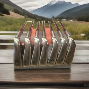 Ping G430 Iron Set/5-PW & 45, Right Hand ,Dynamic Gold 105 Stiff, Blue Dot +0.5 - Picture 1 of 7