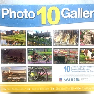 Sure-Lox Photo Gallery Box Set Of 10 Deluxe Jigsaw Puzzles 5600 Pieces New A/1 - Picture 1 of 20