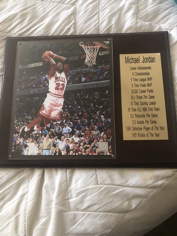 Michael Jordan Official NBA Career Stats Wooden Plaque Cover