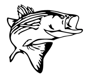 Striper Decal, Rockfish, Fishing Decal for Truck, Car, Window, Outdoor, Boat etc - Bild 1 von 5