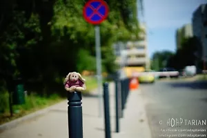 MINOLTA MD ROKKOR-X 50/1.4 + caps | Fully functional, sharp - SAMPLES - Picture 1 of 13