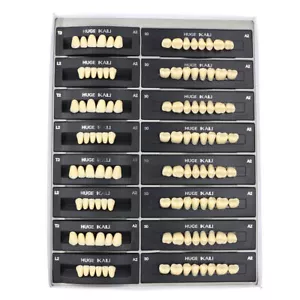 112 piezas/paquete ENORMES DIENTES DE RESINA DE POLÍMERO SINTÉTICO DENTAL KAILI T2/T4/T6/T8 A2/A3 - Imagen 1 de 17