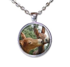 Sweet Kissing Mules Animal Nature Handmade Round Glass Pendant Necklace Jewelry - Picture 1 of 10