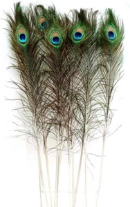 50 PCS Natural Peacock Feathers 25-30 cm Long for Home Hotel Decoration - Picture 1 of 4