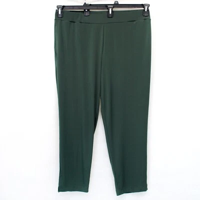 Susan Graver QVC Plus Green Every Day Regular Liquid Knit Straight Leg Pants 5X - Image 1 of 4