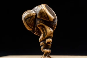 Stag Antler NETSUKE Monkey carrying mushroom Japanese Edo - Meiji Antique - Picture 1 of 15