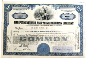 1950 Pennsylvania Salt Manufacturing Stock Certificate, 100 Shares, Carl M. Loeb - Picture 1 of 3