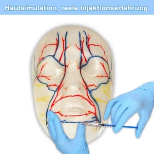 Injizierbares Gesichtsmodell,wiederverwendbares kosmetisches Injektionszugmodell - Bild 1 von 9