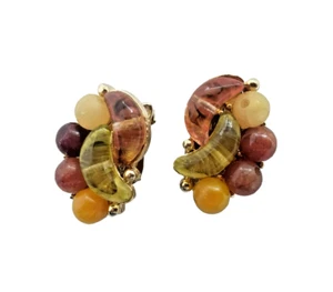 Vintage Pakula Fall Colors Plastic and Glass Bead Cluster Clip Earrings - Picture 1 of 7