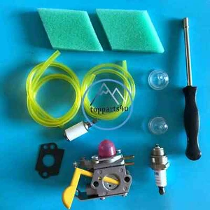 Kit carburatore per WeedEater Poulan Craftsman XT260 XT700 SST25 carboidrato # 530071822 - Foto 1 di 5
