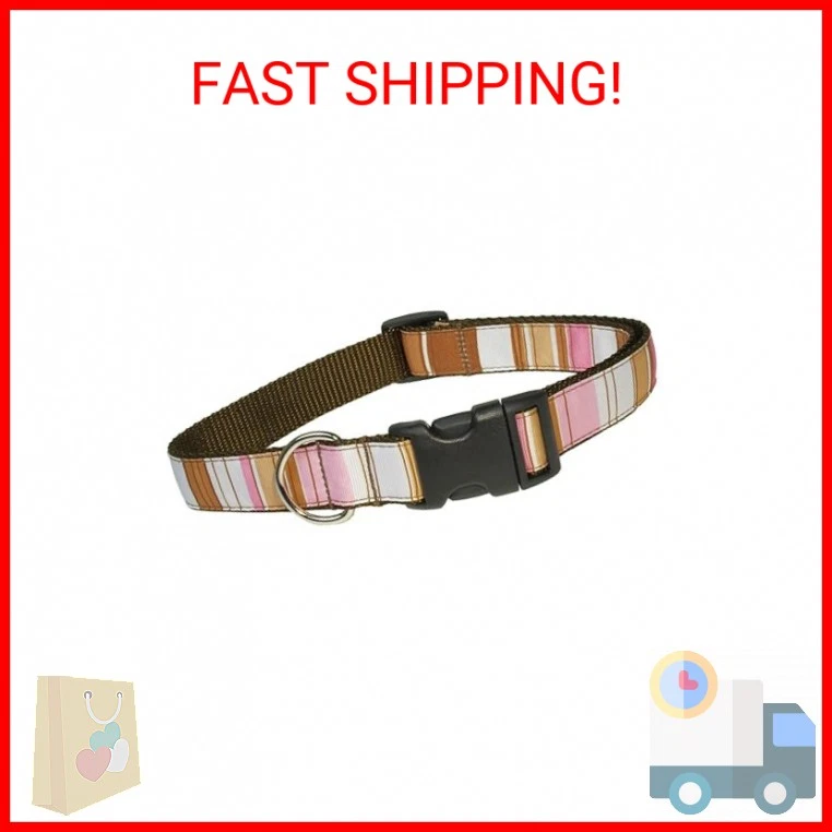 Medium Brown/Multi Stripe Dog Collar: 3/4" Wide, Adjusts 13-20" - Made in USA. - Image 1 of 1