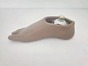 College Park Tempo Prosthetic Right Foot/ Shell - Picture 1 of 6