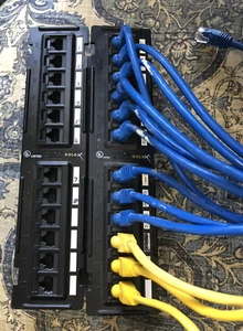 GoldX 12 Port Patch Panel Cat 5e Network Ethernet Connectivity Bundle of 2 NICE - Picture 1 of 9