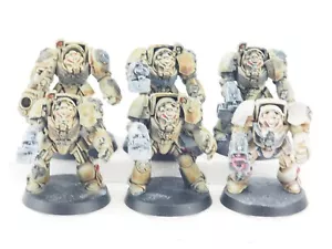 GW 40K SPACE MARINE TERMINATORS X 6. PARTE DIPINTA. VERDE 412 - Foto 1 di 4