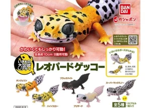 Conjunto Completo Figura Bandai Gashapon Enciclopedia de Criaturas Vivas Gekko - Imagen 1 de 6