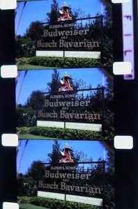 FLORIDA BUSCH BUDWEISER PARROTS VACATION SCENES VINTAGE 16mm Home Movie Reel S9 - Picture 1 of 6