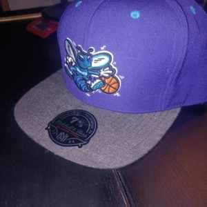 Mitchell & Ness Men's Charlotte Hornets Fitted Hat Size 7 3/8 Purple And Grey - Picture 1 of 3