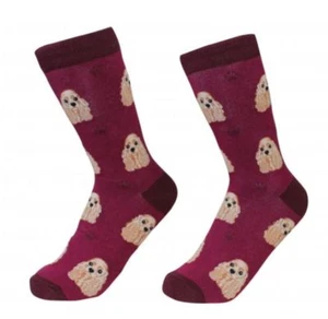 Cocker Spaniel Socken Unisex Hund Baumwolle/Poly Einheitsgröße - Bild 1 von 1