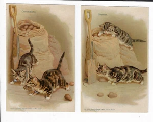 2 German Cat Postcards Anstalt Munchen Artist Signed p1133 - Picture 1 of 2