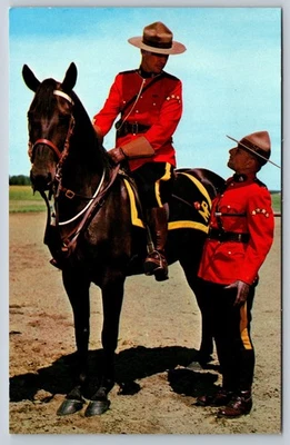 Real Policía Montada Canadiense con Caballos de Servicio Mounties RCMP SSM SUBOFICIAL Postal Foto 1 de 3