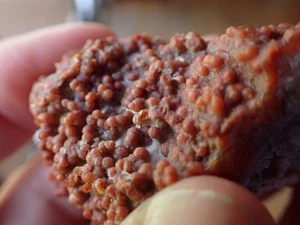 Uva Ágata Uta Utah Calcedonia Botrioidal Geoda Fragmento Desierto Espécimen GA12 - Imagen 1 de 5