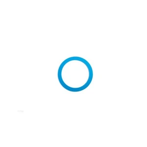 INTEX - 11752 - Guarnizione per pulitore idraulico 28001  - Foto 1 di 2