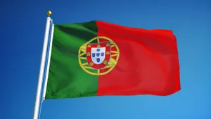 NUEVO PORTUGAL 2x3ft BANDERA calidad superior decoloración resistencia vendedor de estados unidos - Imagen 1 de 3