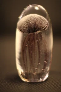 Murano Italian Art Glass Jelly Fish Sculpture or Paperweight -DEEP BROWN COLOR - Picture 1 of 3