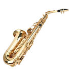 Saxophone Alto Brass Professional Eb With Mouthpiece Accessory Musical Instr TPG