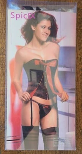 SPICEX 2 Pc. Boned Corset Lace Push Up Bodysuit Shapewear Lingerie, XL #90711A - Picture 1 of 4