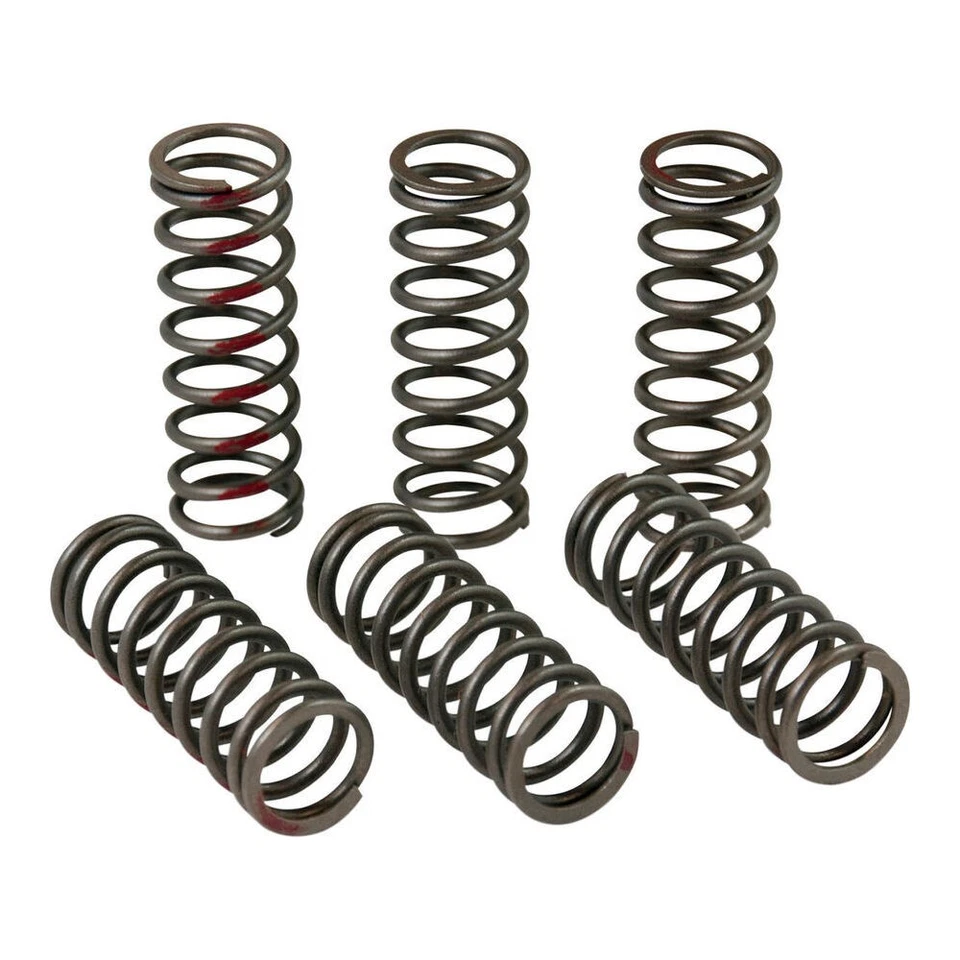 Juego de muelles de embrague Pro Circuit CLUTCH SPRINGS CRF450R Foto 1 de 3