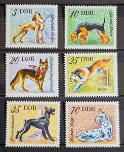 DDR 1976 Mi2155-60 Hunde Haustiere Dogs Satz Briefmarke Stamp Timbre Sello MNH - Bild 1 von 1