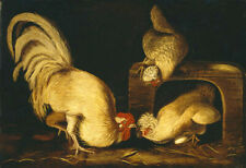 Oil painting beautiful animals cock hens art Farmyard-Fowls-John-James-Audubon