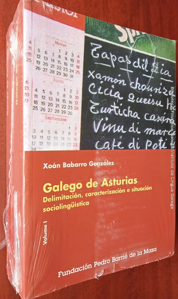 GALEGO DE ASTURIAS 2 VOL-X BABARRO GONZALEZ 1.000 PAGS GALEGO 1ª ED PRECINTADO - Imagen 1 de 4