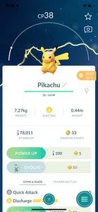 Pokemon Pikachu with Flowers 2019! Same Day Shippment or Next Day Guaranteed! Go - Picture 1 of 1