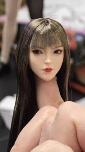 1/6 Female Long Brown Hair Movable Eyes Head for 12" PHICEN Pale Figure Body - Picture 1 of 5