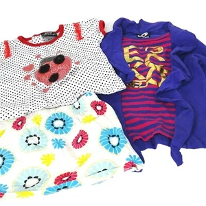 Lot of 3 Ecko & DDG Ladybug Shirt Top Fisher Price Skirt Girls Size 24 Month - Picture 1 of 8