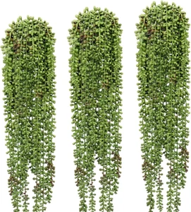 3 Pcs String of Pearls Plant Artificial Hanging Succulents Plants for Home - Picture 1 of 12