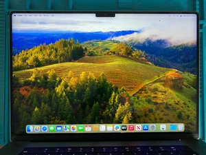 Véritable Apple MacBook Pro 16" M1 2021 A2485 écran LCD assemblé gris EMC 3651 - Photo 1/21