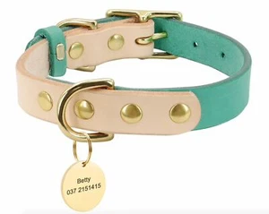 Dog Collar Small Vegan Two Tone Collar with Gold Hardware - Picture 1 of 3