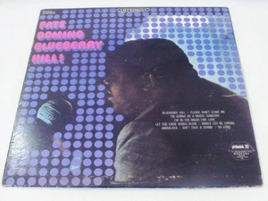 FATS DOMINO BLUBERRY HILL*1967 PICKWICK SPC-3111*ROCK & ROLL/BLUES*EX+ - Foto 1 di 5